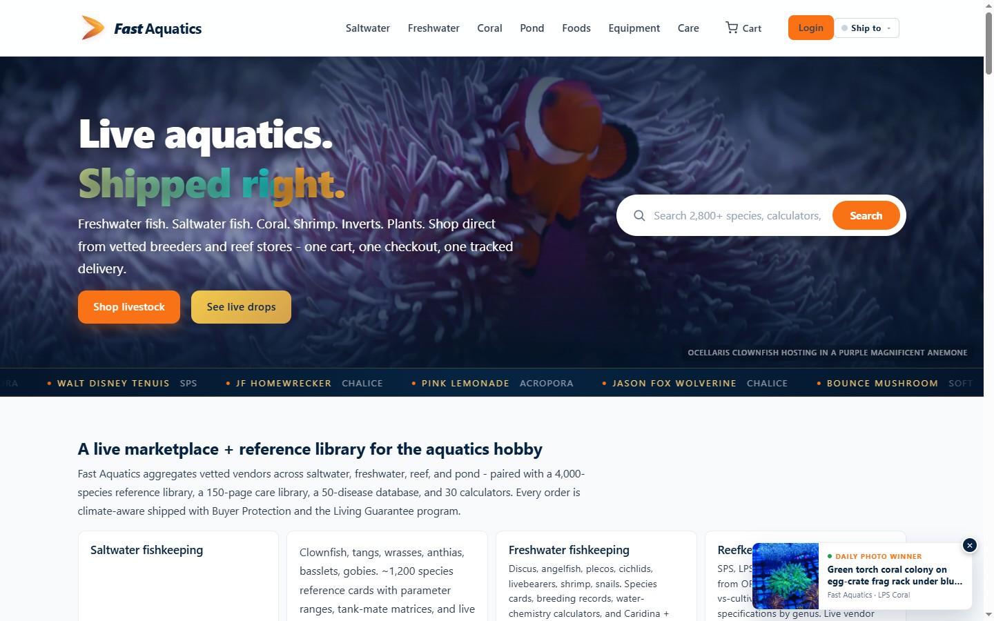 fastaquatics.com live screenshot